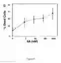 Fig. 06 - Amyloid beta-derived diffusible ligands (ADDLs), ADDL-surrogates, ADDL-binding molecules, and uses thereof