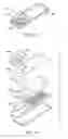 Fig. 06 - DETECTING HUMAN OR ANIMAL IMMUNOGLOBIN-E