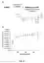 Fig. 03 - Colorimetric Substrate and Methods for Detecting Poly(ADP-ribose) Polymerase Activity including PARP Enzymes PARP-1, VPARP, and Tankyrase-1