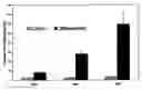 Fig. 01 - Osteoclast Culture Vessels and Methods of Use