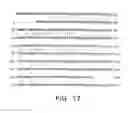 Fig. 44 - TANGO 240 nucleic acids and uses thereof