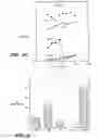 Fig. 08 - Method for making monoclonal antibodies and cross-reactive antibodies obtainable by the method