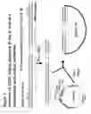 Fig. 08 - Recombinant Production of Polyanionic Polymers, and Uses Thereof