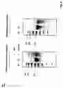 Fig. 08 - RNA-Dependent RNA Polymerase, Methods And Kits For The Amplification And/Or Labelling Of RNA