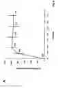 Fig. 10 - RNA-Dependent RNA Polymerase, Methods And Kits For The Amplification And/Or Labelling Of RNA