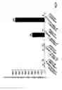 Fig. 14 - RNA-Dependent RNA Polymerase, Methods And Kits For The Amplification And/Or Labelling Of RNA