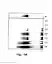 Fig. 17 - RNA-Dependent RNA Polymerase, Methods And Kits For The Amplification And/Or Labelling Of RNA