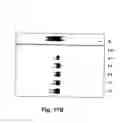 Fig. 18 - RNA-Dependent RNA Polymerase, Methods And Kits For The Amplification And/Or Labelling Of RNA