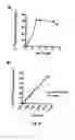 Fig. 24 - RNA-Dependent RNA Polymerase, Methods And Kits For The Amplification And/Or Labelling Of RNA