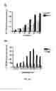 Fig. 25 - RNA-Dependent RNA Polymerase, Methods And Kits For The Amplification And/Or Labelling Of RNA