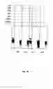 Fig. 28 - RNA-Dependent RNA Polymerase, Methods And Kits For The Amplification And/Or Labelling Of RNA