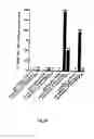 Fig. 29 - RNA-Dependent RNA Polymerase, Methods And Kits For The Amplification And/Or Labelling Of RNA