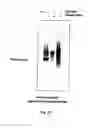 Fig. 31 - RNA-Dependent RNA Polymerase, Methods And Kits For The Amplification And/Or Labelling Of RNA