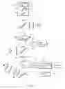 Fig. 02 - METHOD OF ISOLATING CELL OR SAMPLE TO BE ANALYZED IN CELL