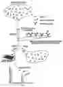 Fig. 01 - Analysis of Proteins from Biological Fluids Using Mass Spectrometric Immunoassay