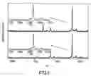 Fig. 06 - Analysis of Proteins from Biological Fluids Using Mass Spectrometric Immunoassay