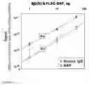 Fig. 07 - Elemental analysis of tagged biologically active materials