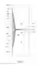 Fig. 02 - Drywall tape and drywall joint