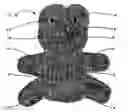 Fig. 01 - Decorative structures