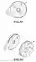 Fig. 07 - Quick-change grinding pad and mounting system