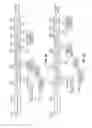 Fig. 05 - Fast Indication of Uplink Voice Activity