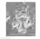 Fig. 01 - Ceramic member and corrosion-resisting member