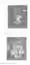 Fig. 03 - Ceramic member and corrosion-resisting member