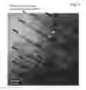 Fig. 07 - High performance devices enabled by epitaxial, preferentially oriented, nanodots and/or nanorods