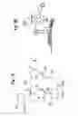 Fig. 02 - Immunosuppressant binding antibodies and methods of obtaining and using same