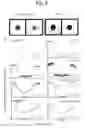 Fig. 09 - Membrane-based assays