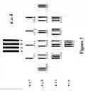 Fig. 08 - Sorting Of Microdevices