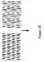 Fig. 28 - Sorting Of Microdevices
