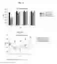 Fig. 02 - Methods for Affecting Body Composition