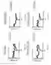 Fig. 16 - Methods for Affecting Body Composition