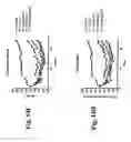 Fig. 20 - Methods for Affecting Body Composition