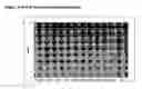 Fig. 02 - DNA-based aptamers for human cathepsin G