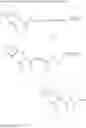 Fig. 265 - Triazole compounds that modulate Hsp90 activity