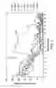 Fig. 02 - SELECTIVE ANTAGONISTS OF A2A ADENOSINE RECEPTORS