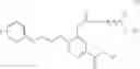 Fig. 02 - Phenyl Acetamides