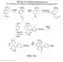 Fig. 49 - Neuronal pain pathway modulators