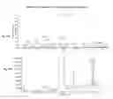 Fig. 23 - Substantially pure fluorescein