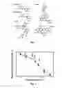 Fig. 02 - Binding interaction of proanthocyanidins with bacteria and bacterial components