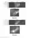 Fig. 06 - Binding interaction of proanthocyanidins with bacteria and bacterial components