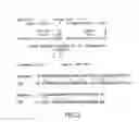 Fig. 03 - Elongase genes and uses thereof