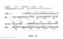 Fig. 19 - Elongase genes and uses thereof
