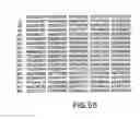 Fig. 68 - Elongase genes and uses thereof