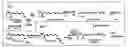 Fig. 01 - Management of Ophthalmologic Disorders, Including Macular Degeneration