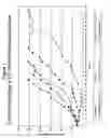 Fig. 02 - Cyclodextrin-based polymers for therapeutics delivery