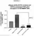 Fig. 04 - AGENTS WHICH REGULATE, INHIBIT, OR MODULATE THE ACTIVITY AND/OR EXPRESSION OF CONNECTIVE TISSUE GROWTH FACTOR (CTGF) AS A UNIQUE MEANS TO BOTH LOWER INTRAOCULAR PRESSURE AND TREAT GLAUCOMATOUS RETINOPATHIES/OPTIC NEUROPATHIES