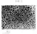 Fig. 02 - Extruded propylene resin foam